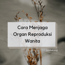 Cara Menjaga Organ Reproduksi Wanita